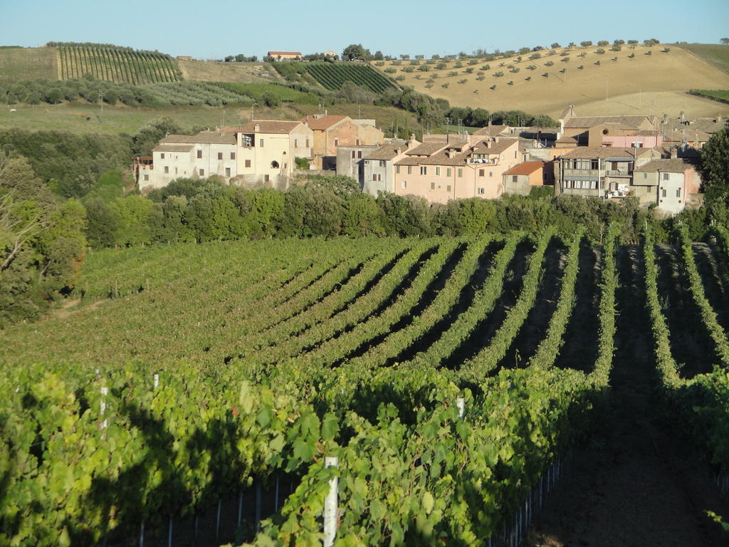 Agriturismo La Valle Di Ceri Черветере Экстерьер фото